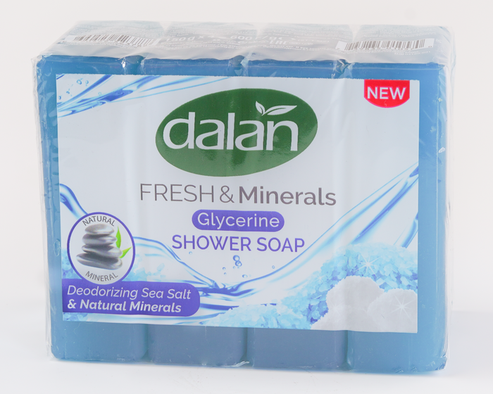 Dalan Fresh & Minerals Sea Salt & Natural Minerals Soap – Nourishing soap with bamboo charcoal and natural minerals for gentle, hydrating cleansing