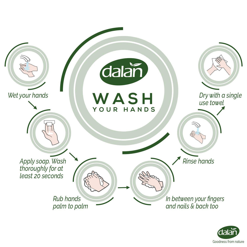 Dalan Sweet Pomegranate Liquid Hand Soap 400mL – Hydrating hand soap with pomegranate fragrance for soft, nourished skin.