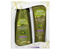 Dalan d’Olive Color Protection Shampoo & Conditioner Set 